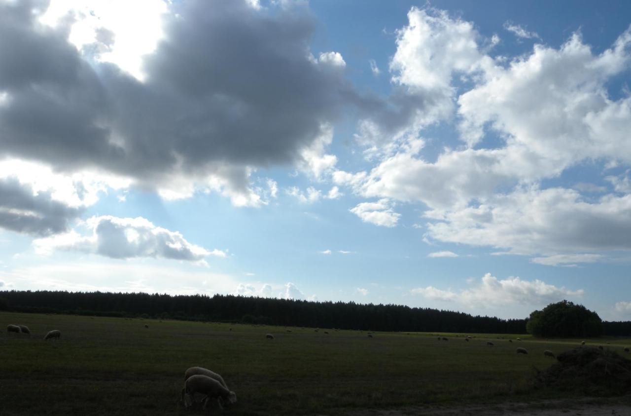 Chatki u Patki Lebieniec Dış mekan fotoğraf